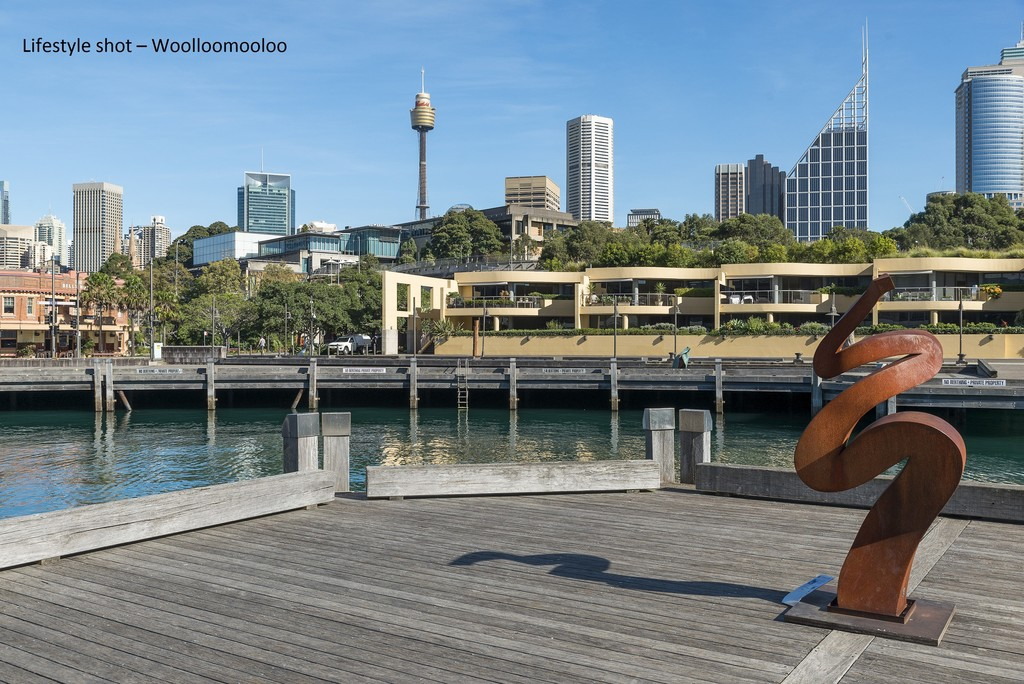 5/5 Wylde Street, Potts Point Sold by Raine & Horne Newtown - image 1