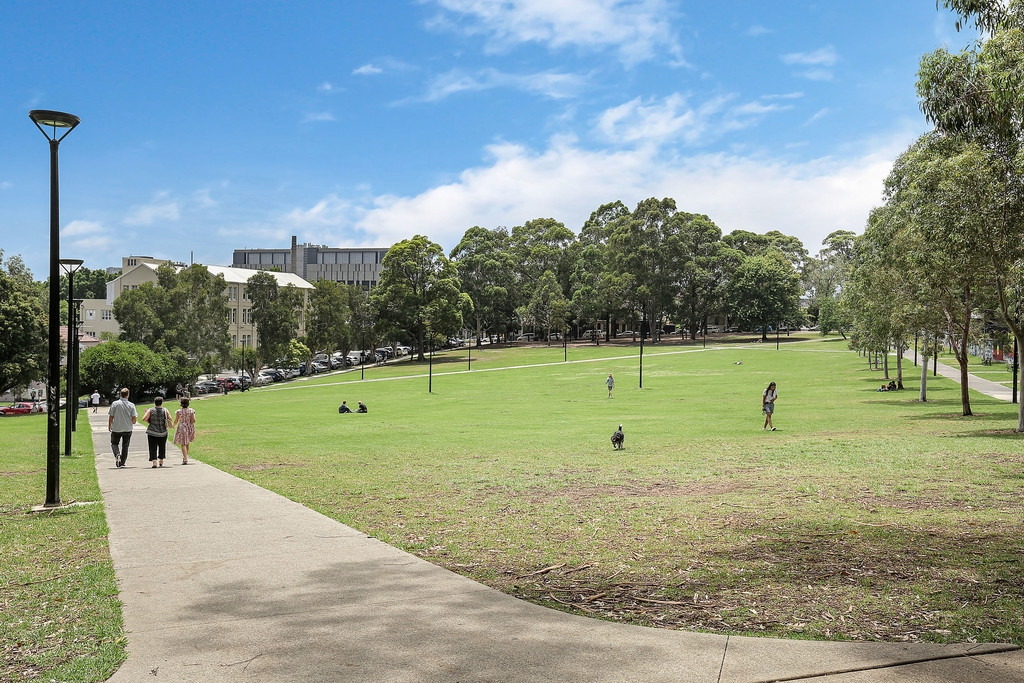 221 Australia Street, Newtown Sold by Raine & Horne Newtown - image 1