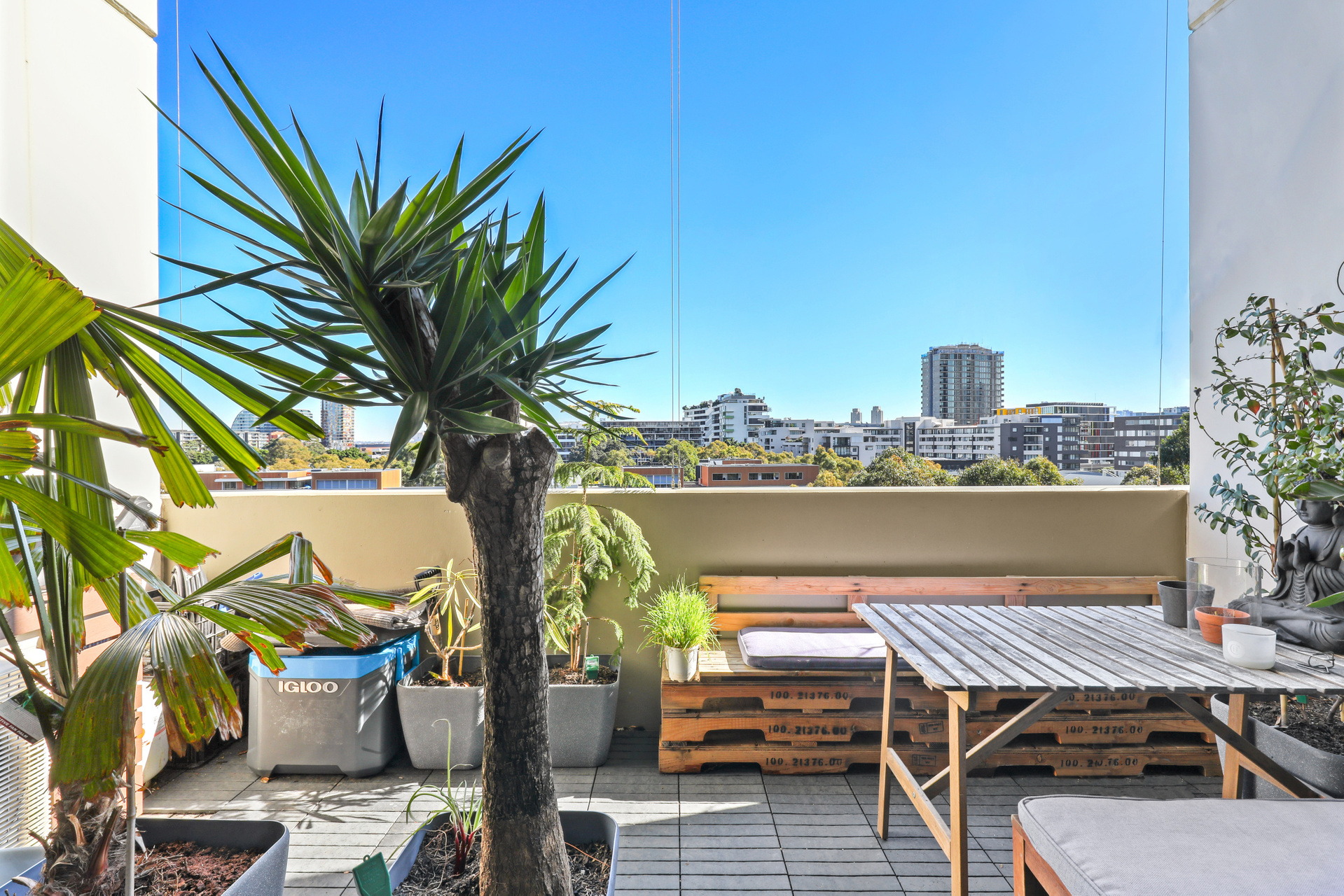 93/2 Levy Walk, Zetland Sold by Raine & Horne Newtown - image 1