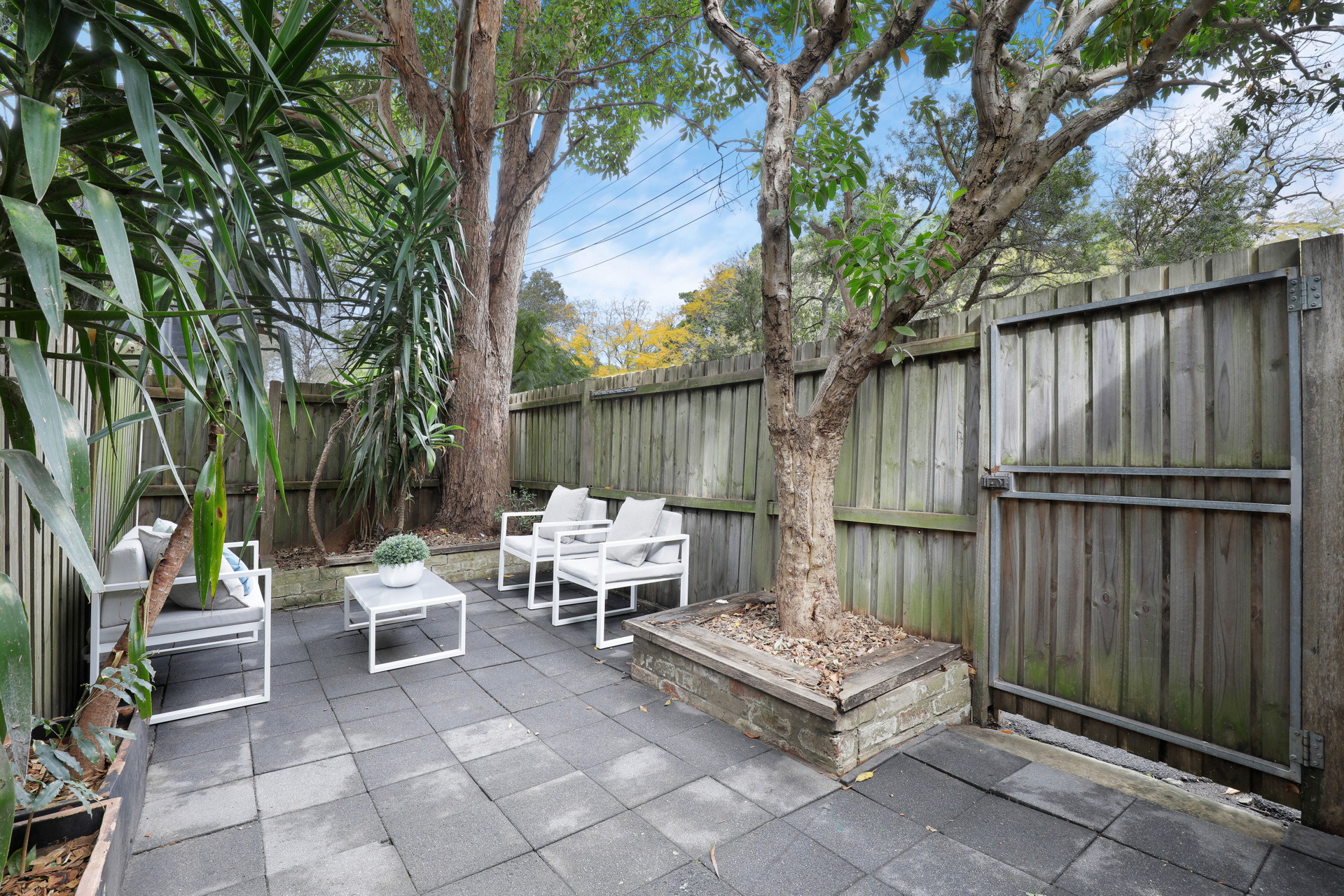 22 Whitehorse Street, Newtown Sold by Raine & Horne Newtown - image 1