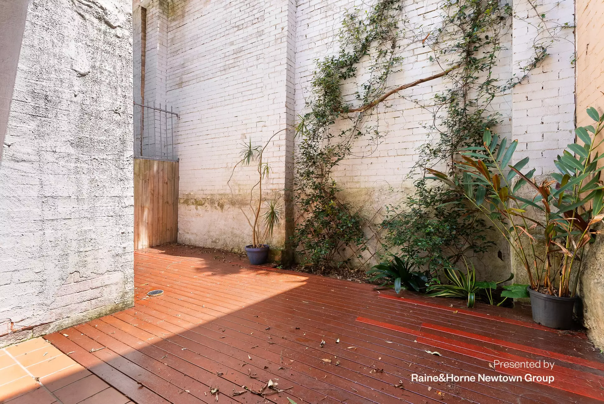 1a/1a Little Commodore Street, Newtown Leased by Raine & Horne Newtown - image 1