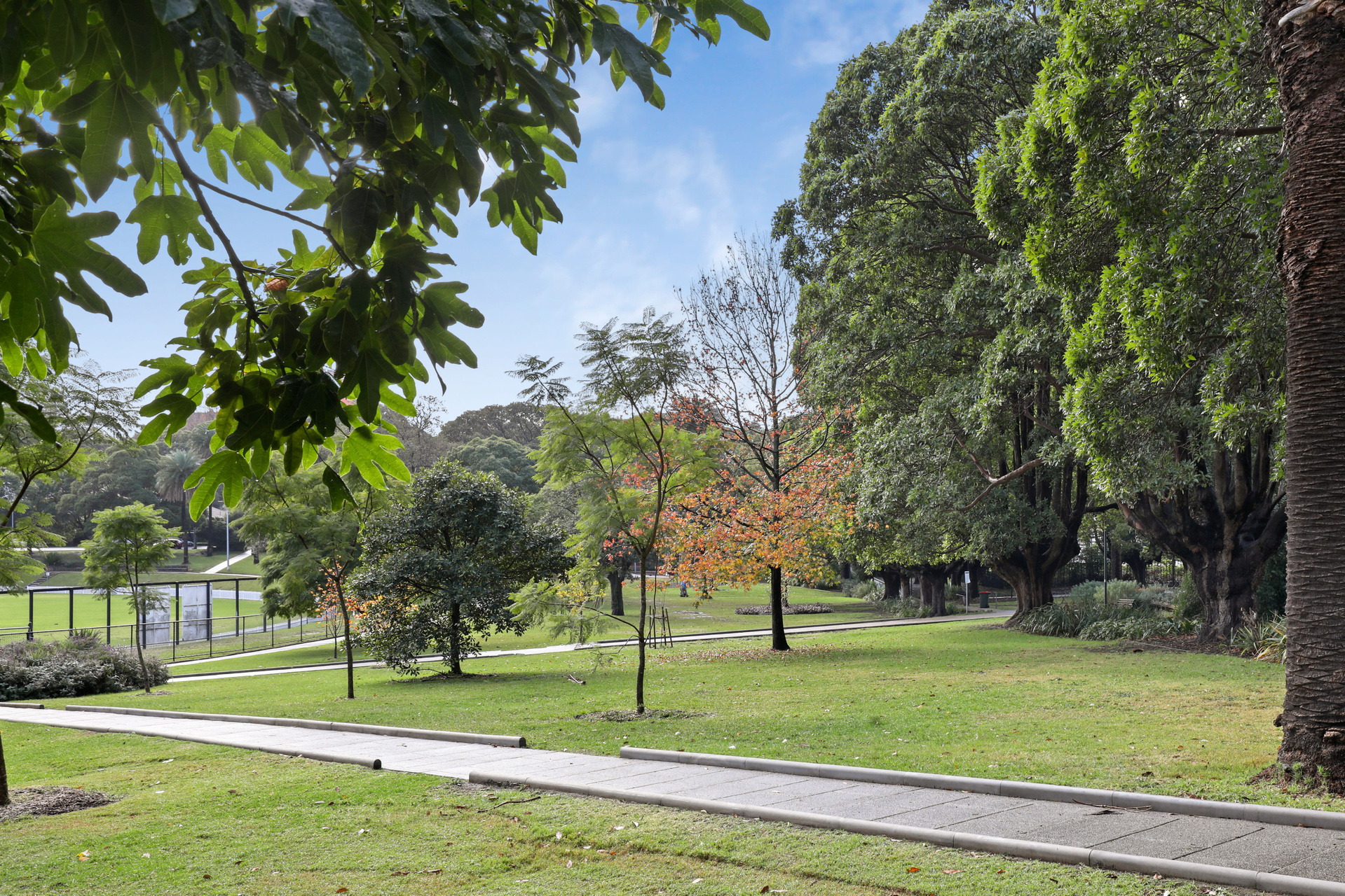 303/1-15 West Street, Petersham Sold by Raine & Horne Newtown - image 1