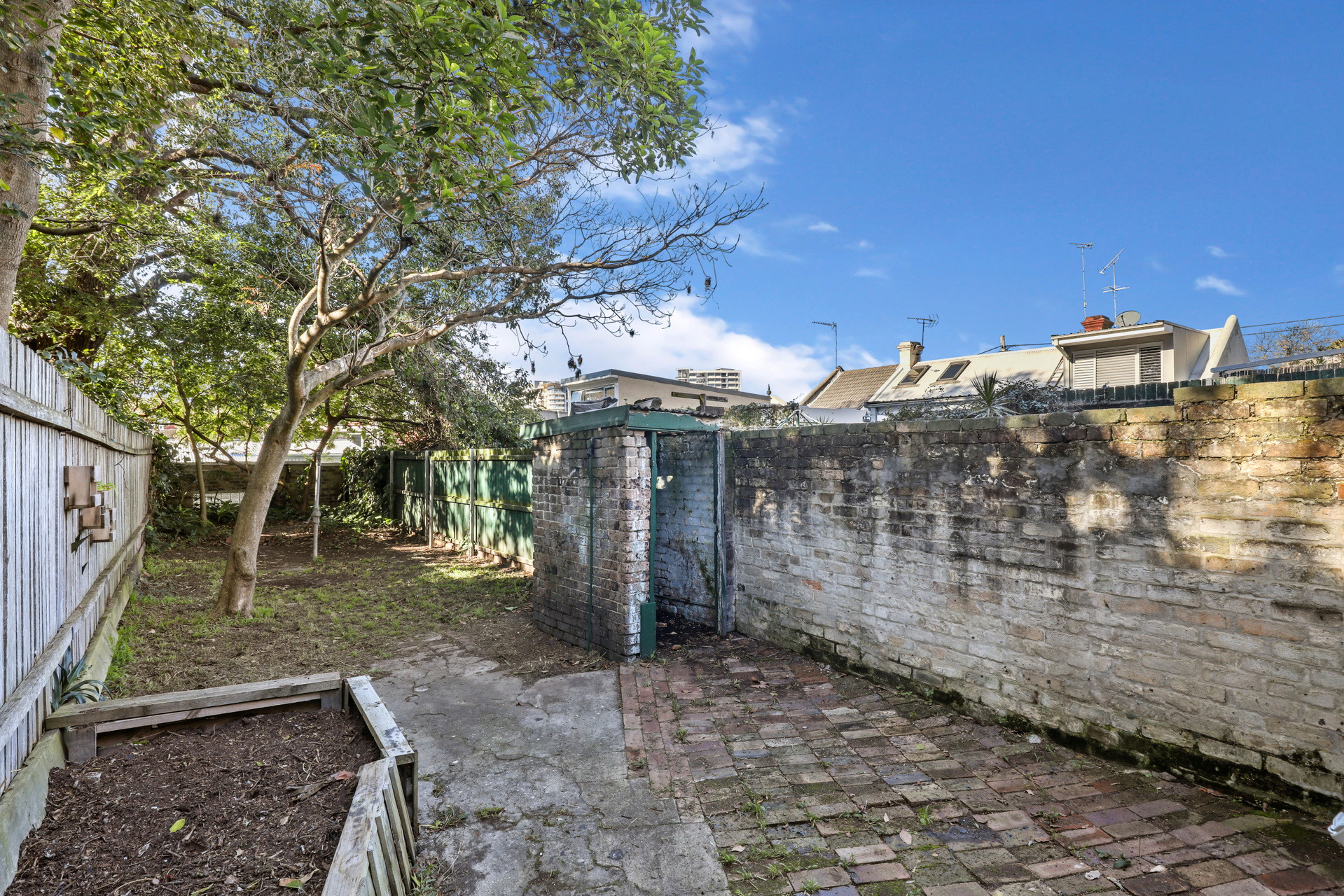 121 Young Street, Redfern Sold by Raine & Horne Newtown - image 1