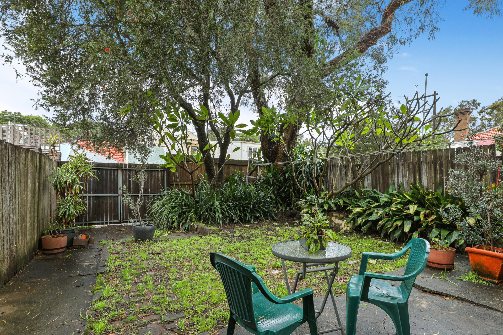 68 Hopetoun Street, Camperdown Sold by Raine & Horne Newtown - image 1