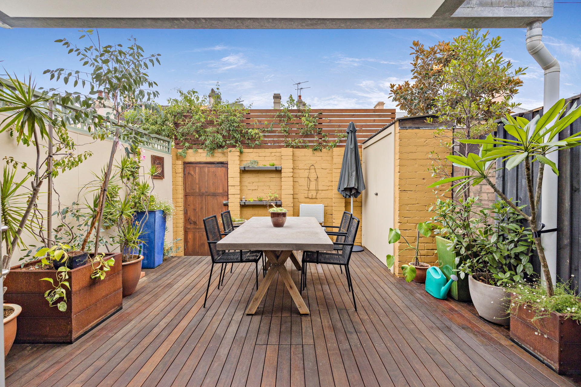 16 Egan Street, Newtown Sold by Raine & Horne Newtown - image 1