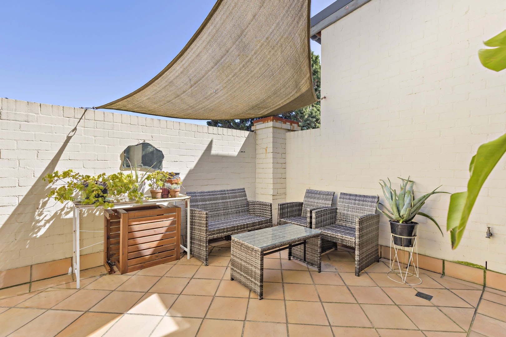 263 Enmore Road, Enmore Sold by Raine & Horne Newtown - image 1