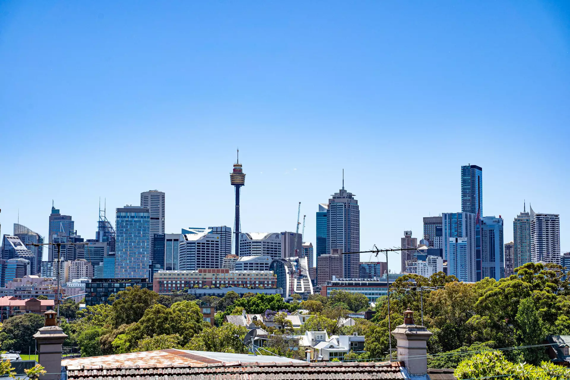 43 Lombard St, Glebe Leased by Raine & Horne Newtown - image 1