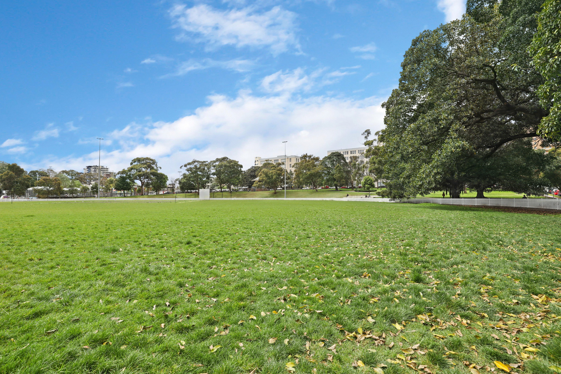 16/1-19 Gibbens Street, Camperdown Sold by Raine & Horne Newtown - image 1