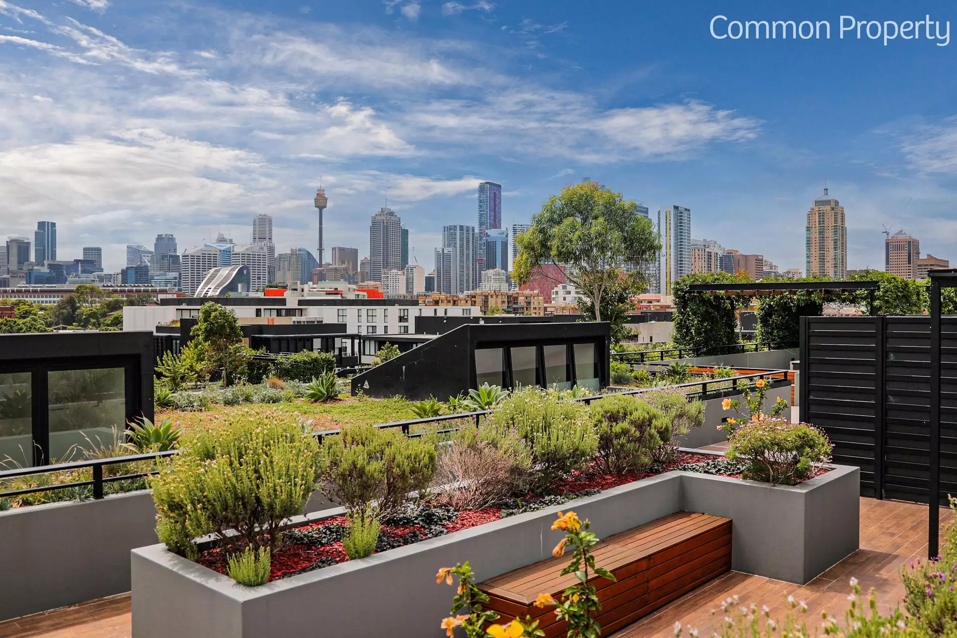 301/6 Cowper Street, Glebe Sold by Raine & Horne Newtown - image 1