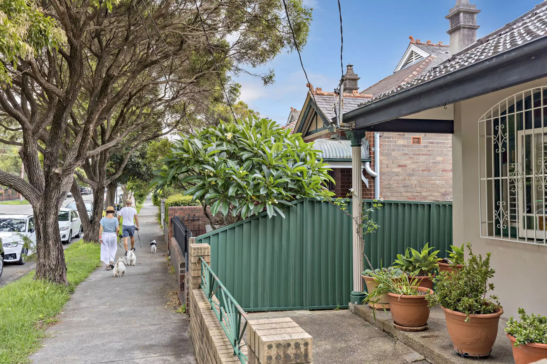 60 Wardell Road, Petersham Sold by Raine & Horne Newtown - image 1