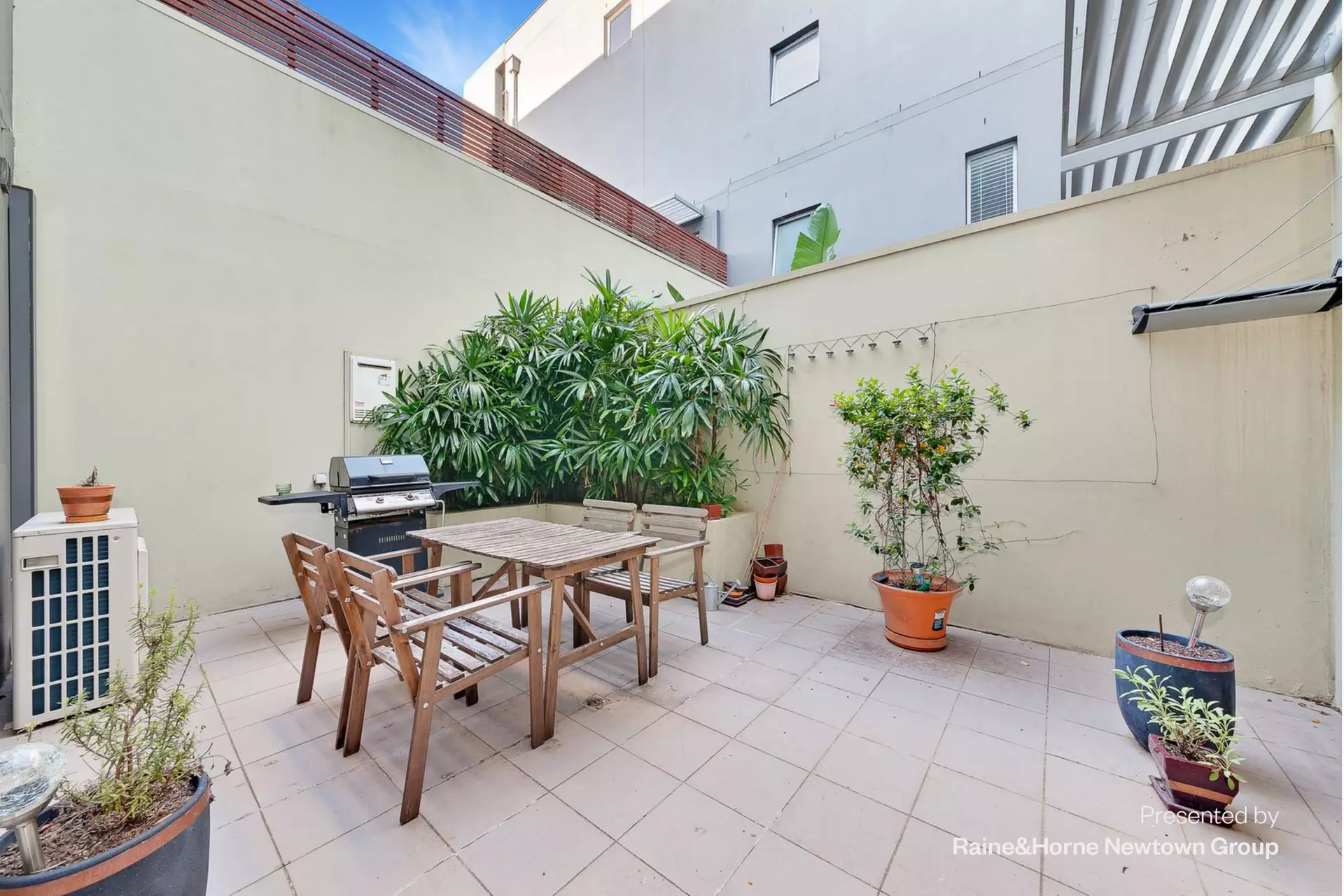 13/1 Goodsell Street, St Peters For Lease by Raine & Horne Newtown - image 1