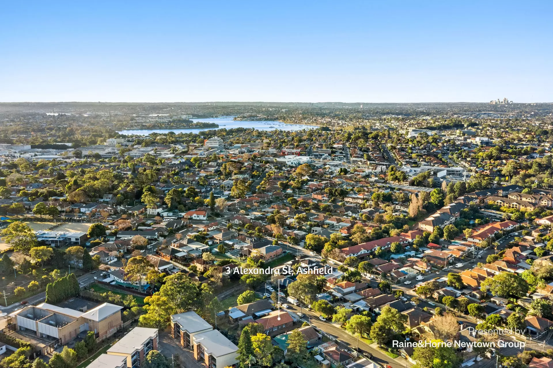 3 Alexandra Street, Ashfield Sold by Raine & Horne Newtown - image 1