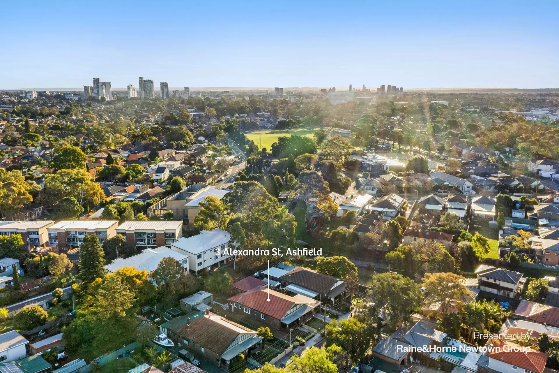 3 Alexandra Street, Ashfield Sold by Raine & Horne Newtown - image 1