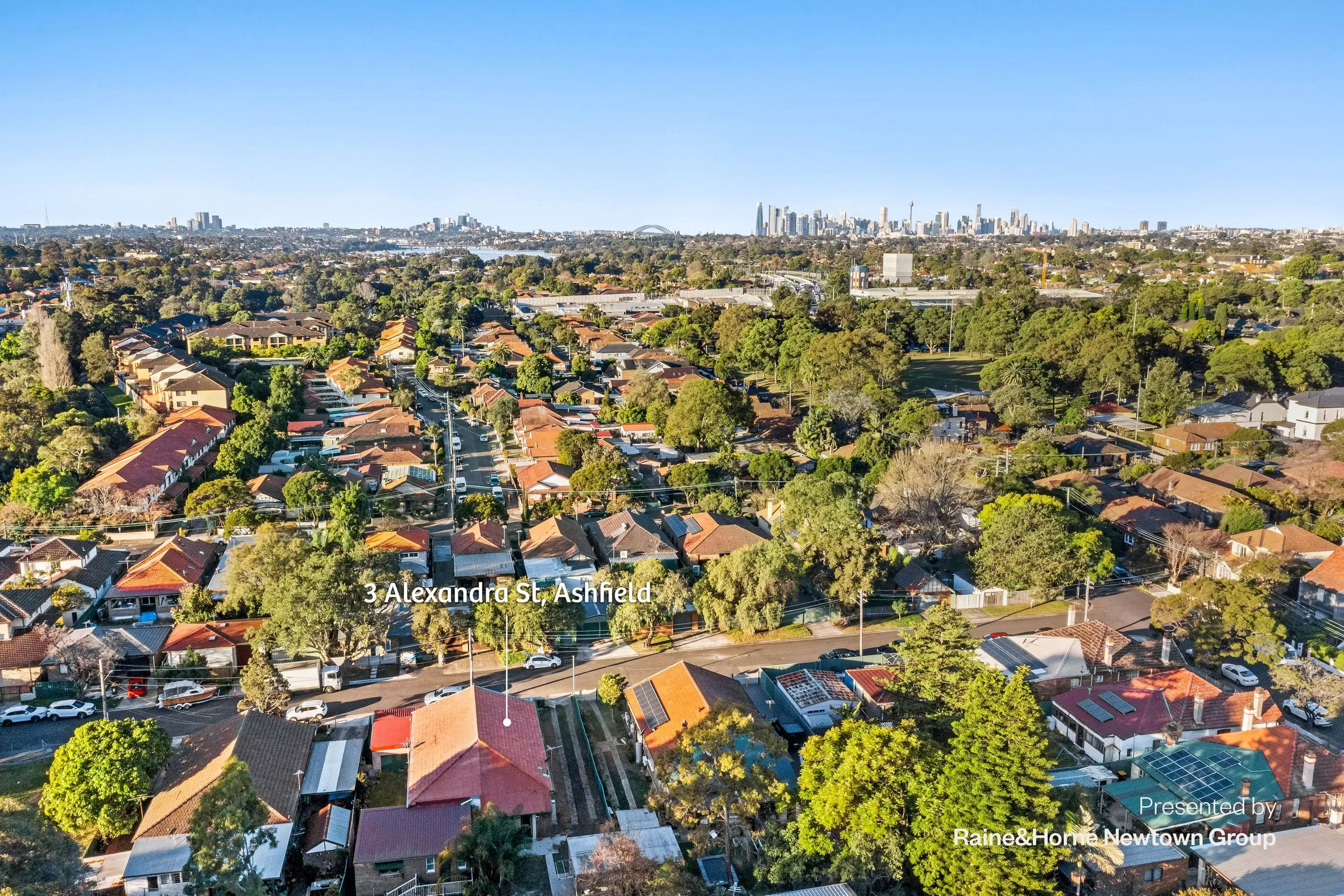 3 Alexandra Street, Ashfield Sold by Raine & Horne Newtown - image 1