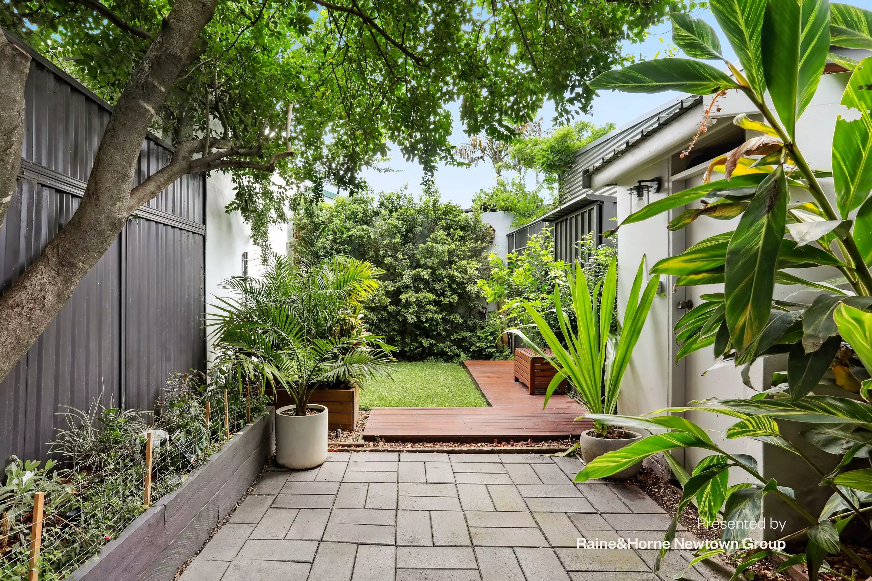 22 Alfred Street, St Peters Sold by Raine & Horne Newtown - image 1