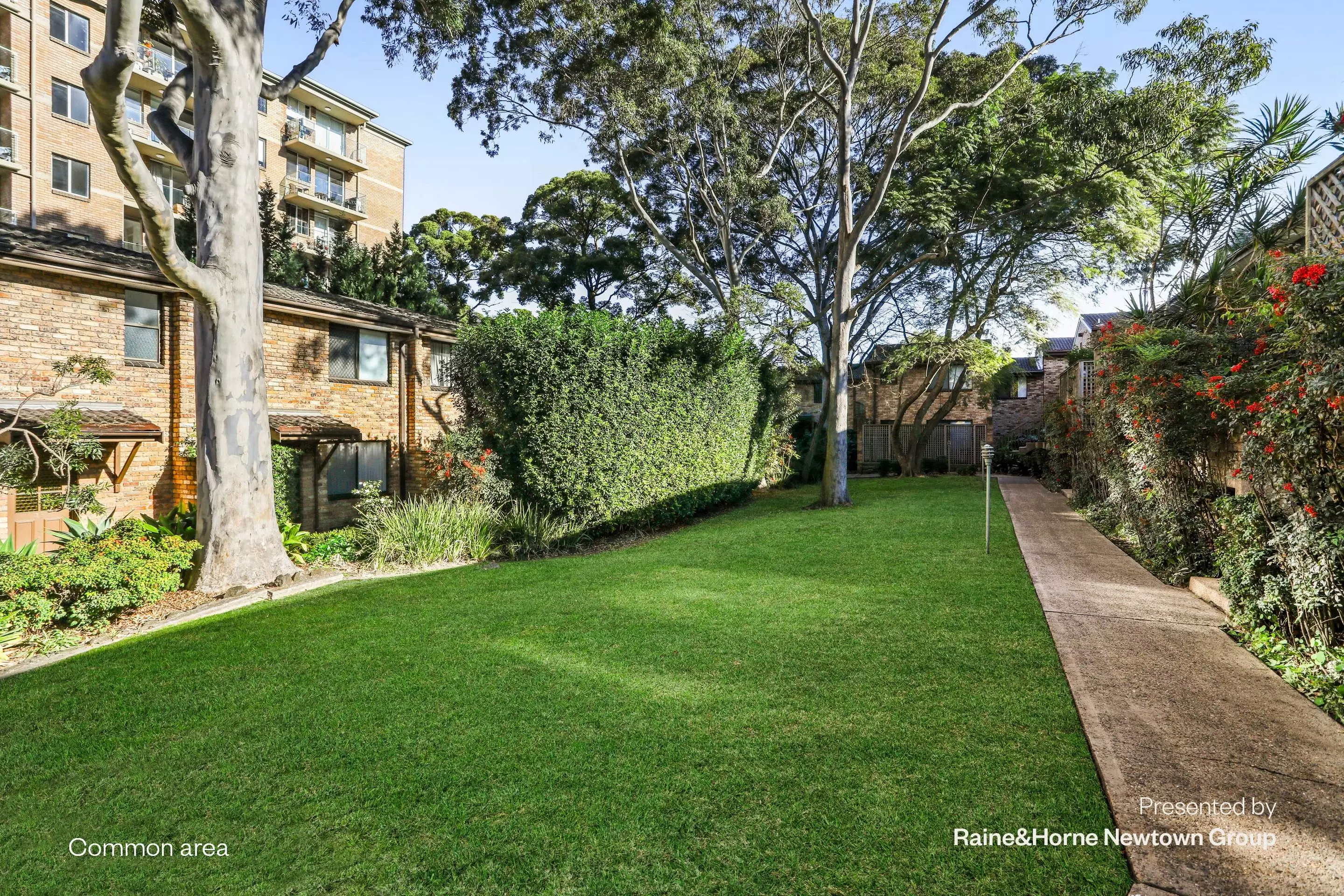 41/5-17 Queen Street, Newtown Sold by Raine & Horne Newtown - image 1