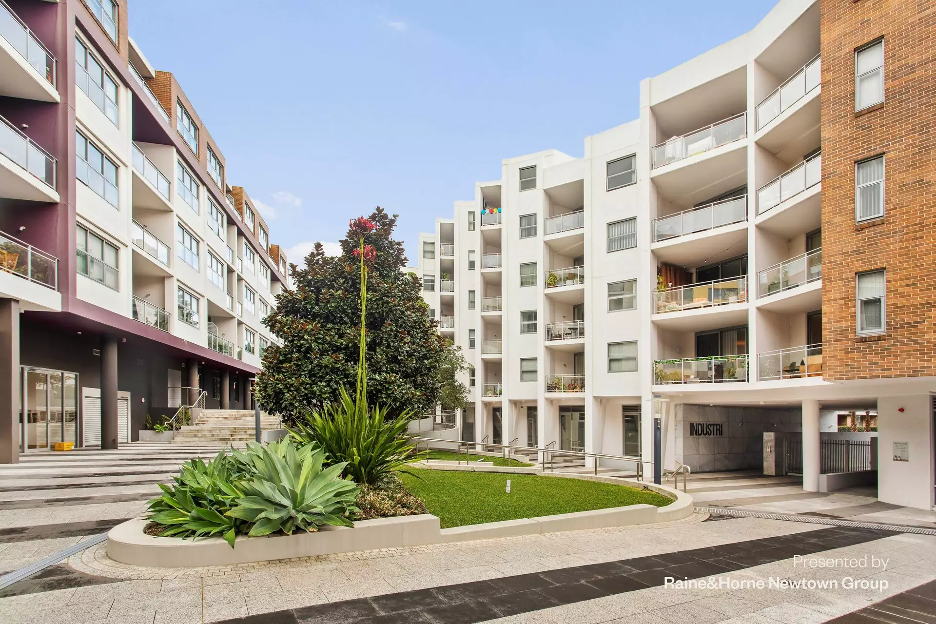 402/38 Alice Street, Newtown Sold by Raine & Horne Newtown - image 1