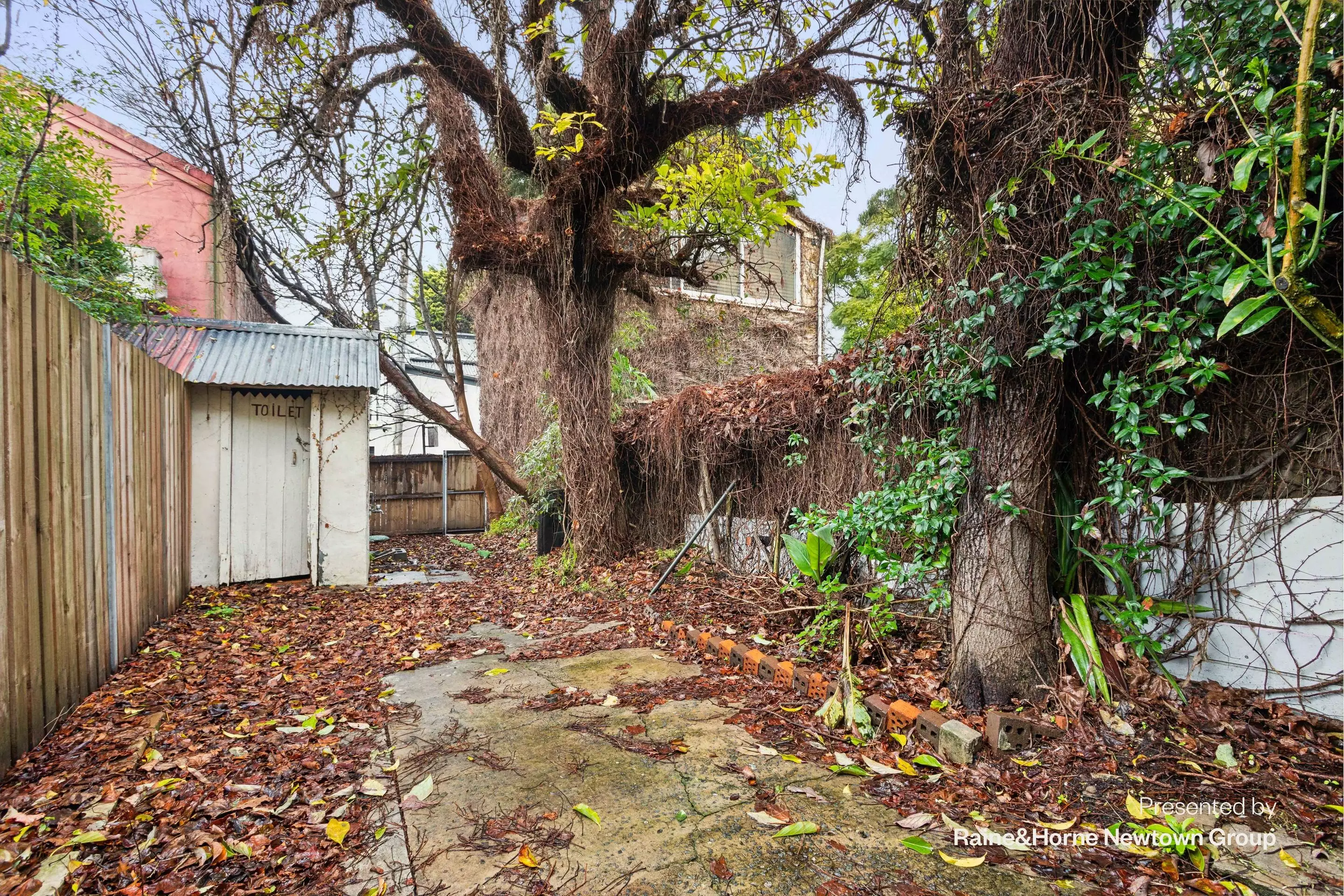 41 Wilson Street, Newtown Sold by Raine & Horne Newtown - image 1