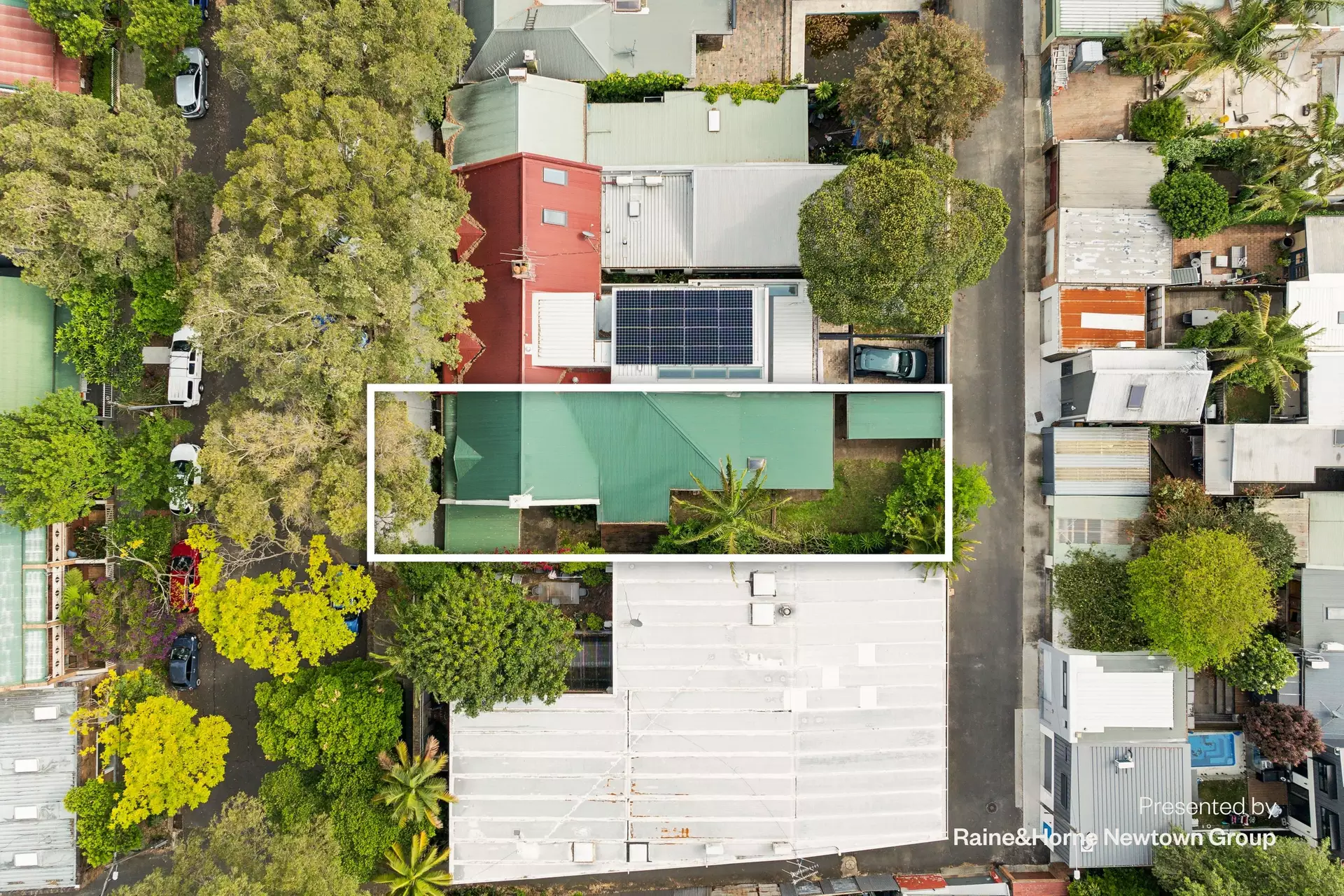 72 Brandling Street, Alexandria Auction by Raine & Horne Newtown - image 1