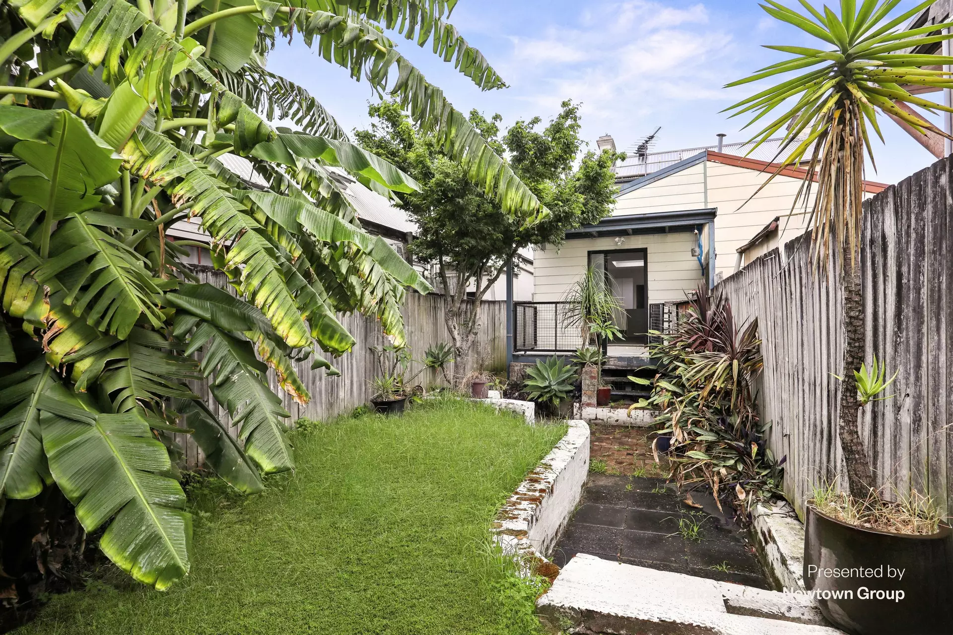 27 Campbell Street, St Peters Auction by Raine & Horne Newtown - image 1