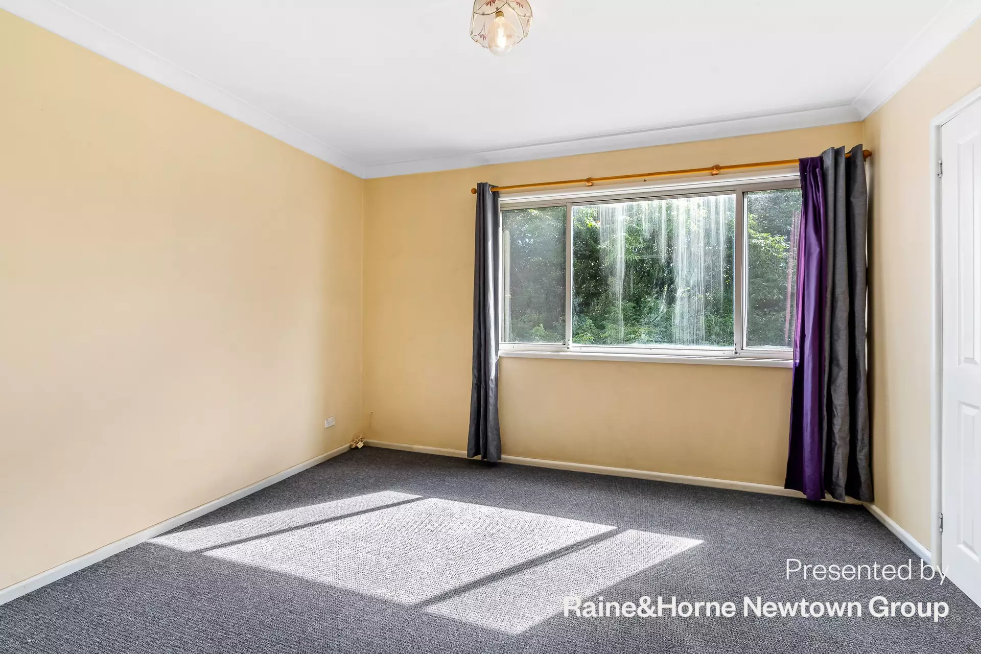 118a Silver Street, St Peters For Lease by Raine & Horne Newtown - image 1