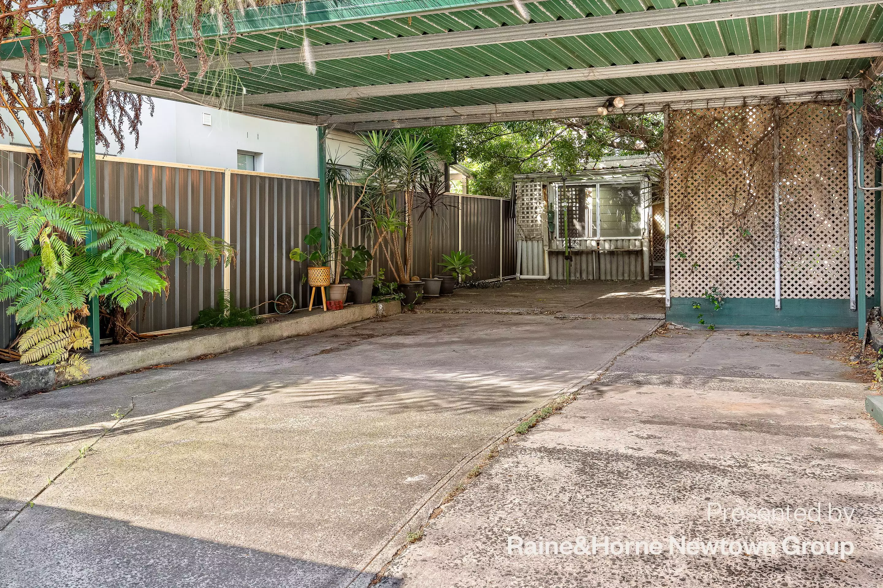 118a Silver Street, St Peters For Lease by Raine & Horne Newtown - image 1