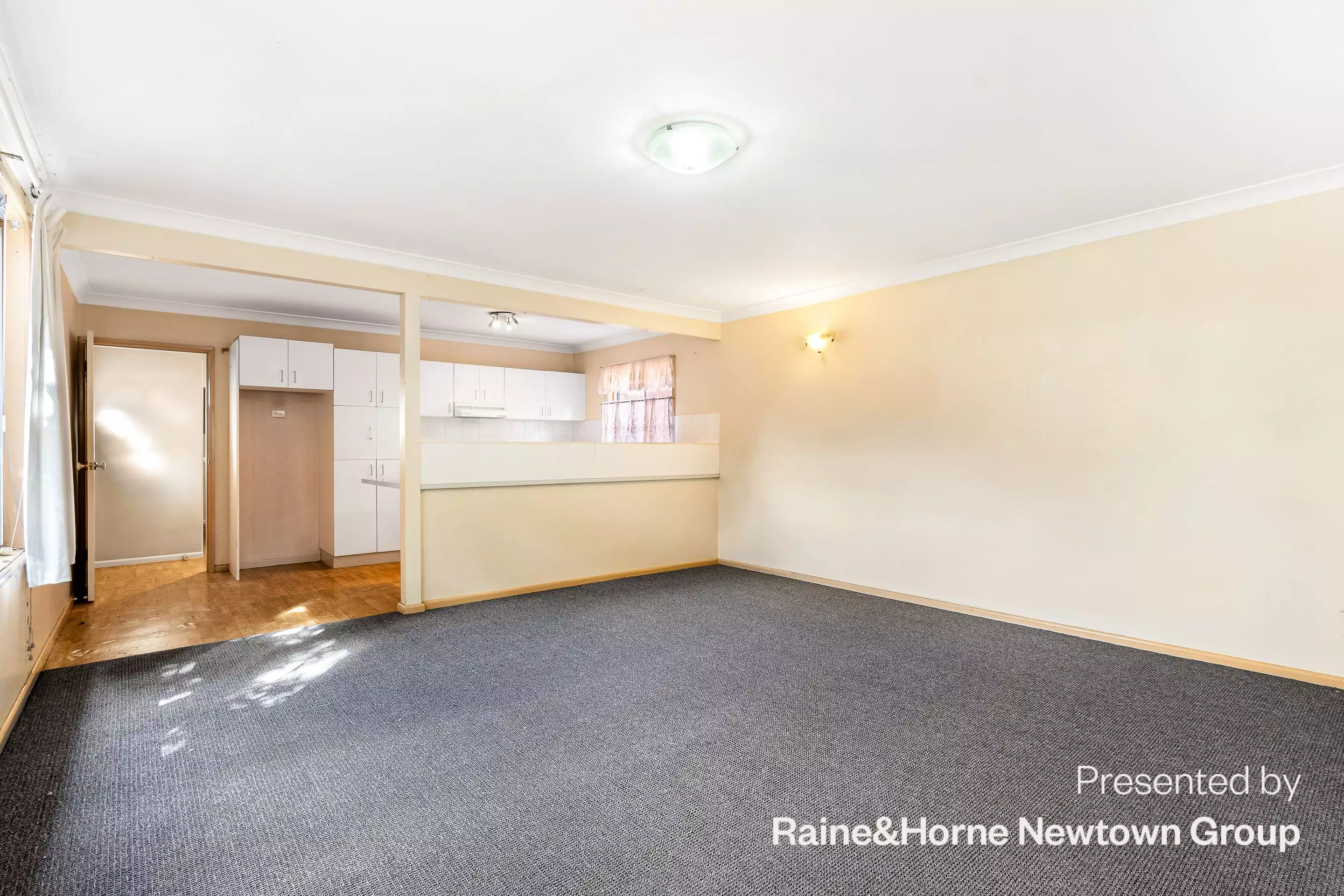 118a Silver Street, St Peters For Lease by Raine & Horne Newtown - image 1