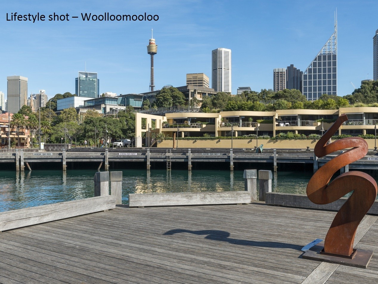 3/5 Wylde Street, Potts Point Sold by Raine & Horne Newtown - image 1