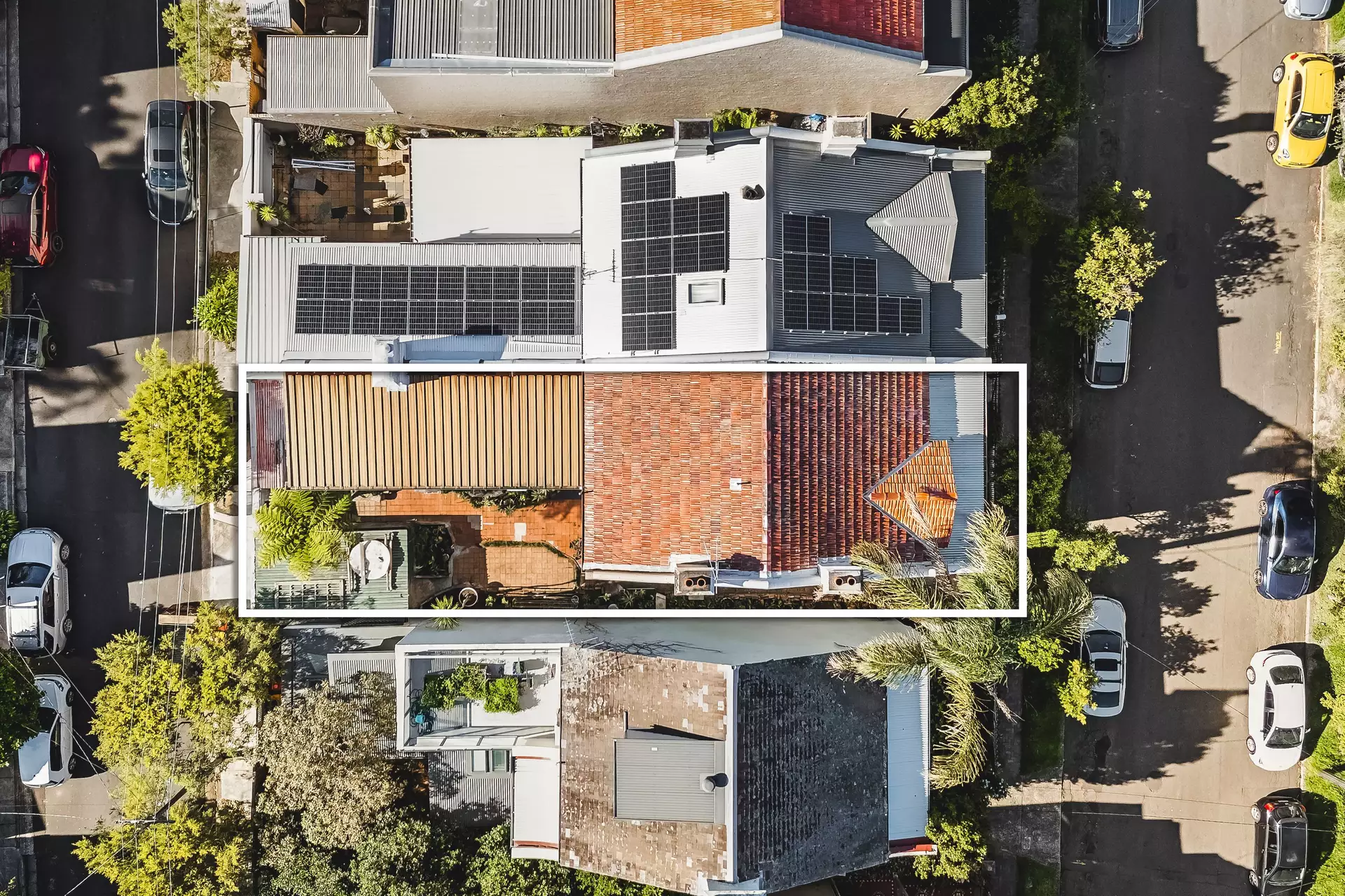 24 Marshall Street, Petersham Auction by Raine & Horne Newtown - image 1