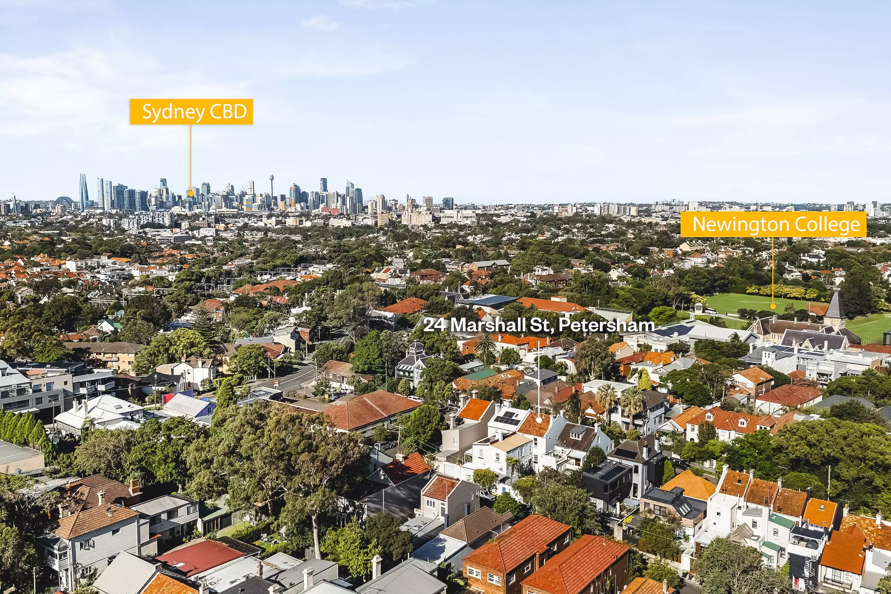 24 Marshall Street, Petersham Auction by Raine & Horne Newtown - image 1