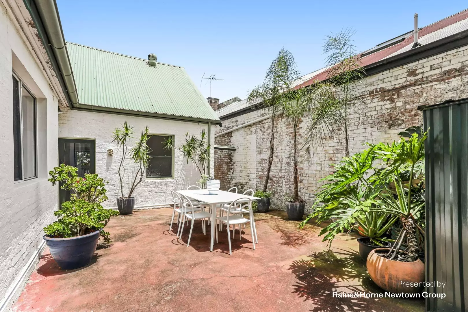 17 Mary Street, Newtown For Lease by Raine & Horne Newtown - image 1